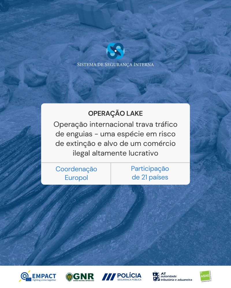 Operação LAKE desmantela redes de contrabando de enguias